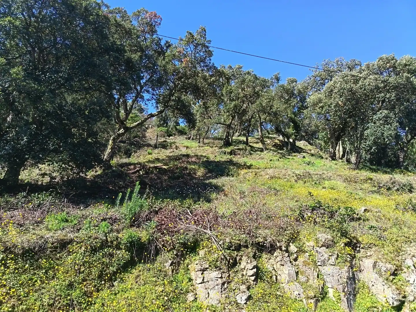 Terreni e lotti in vendita a Terrenos Piñeiral de Arriba, imagen 9