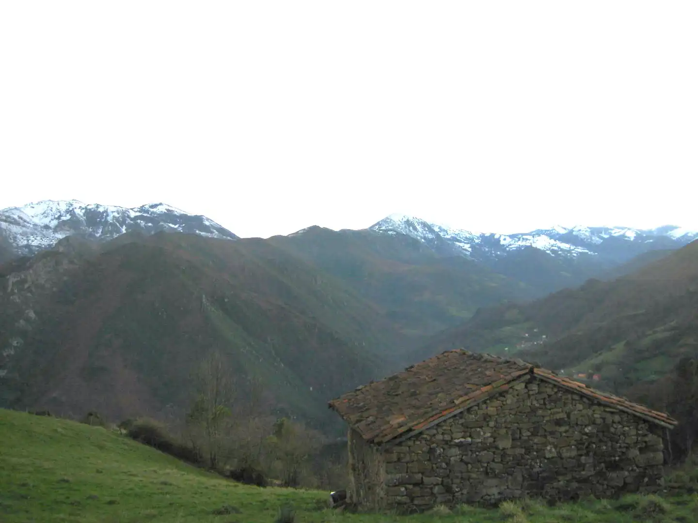 Terreny rústic en venda a Grado, imagen 46
