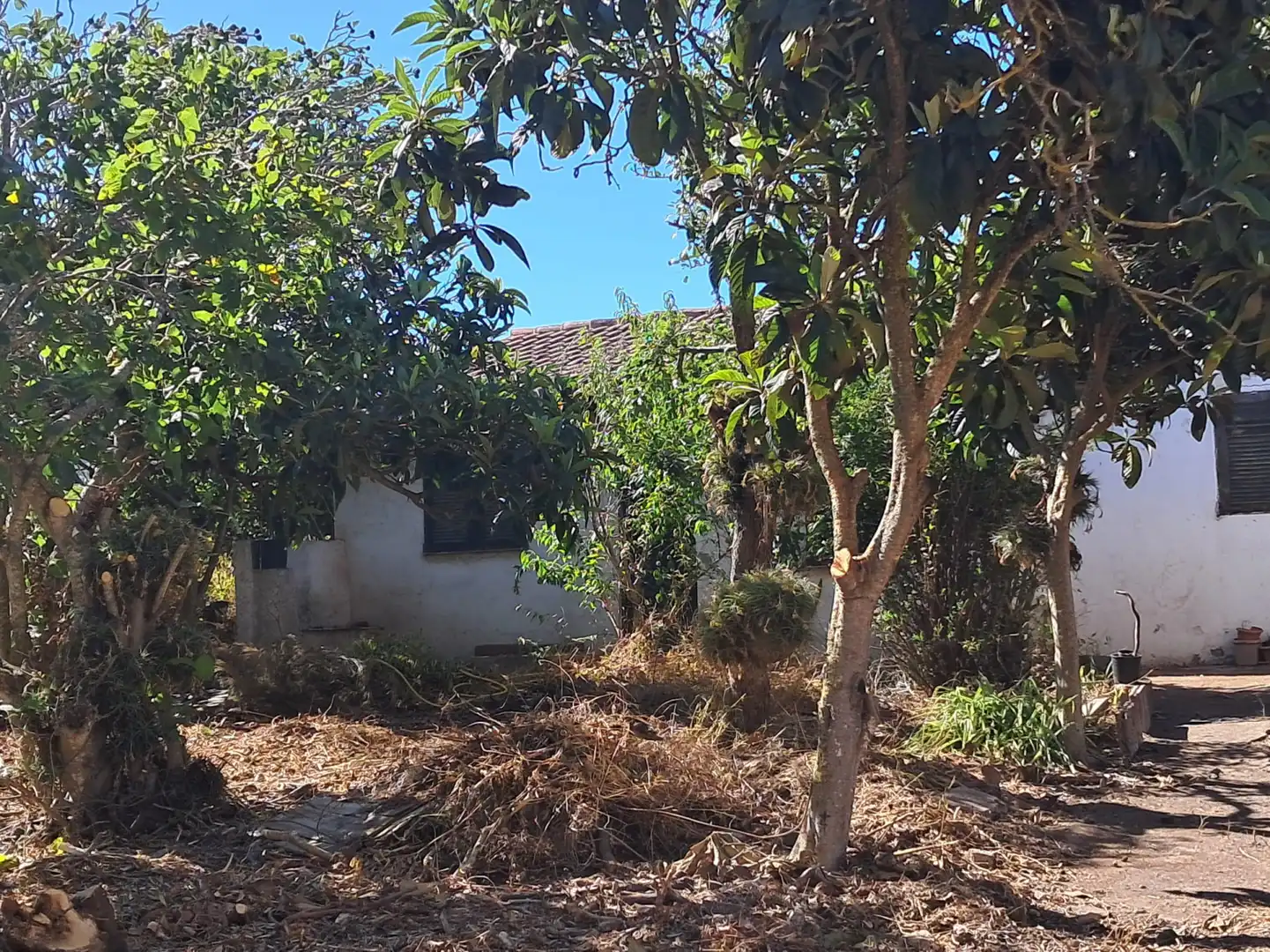 Casa o xalet en venda en San Cristóbal de la Laguna amb Jardí privat