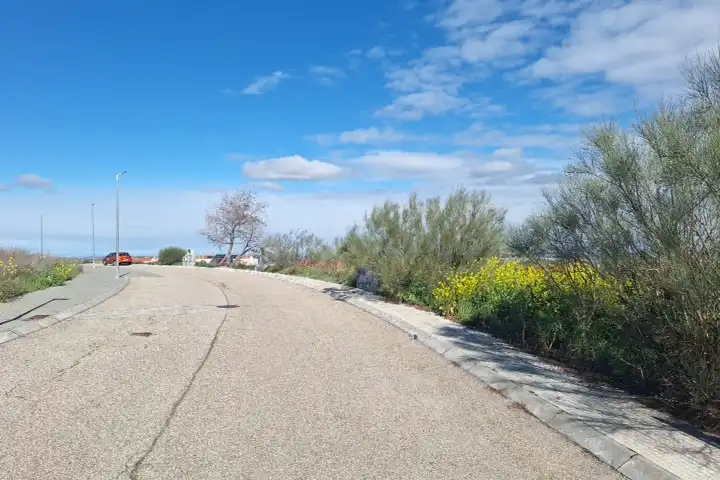 Terreny rústic en venda a Nuevo Aranjuez - Ciudad de las Artes