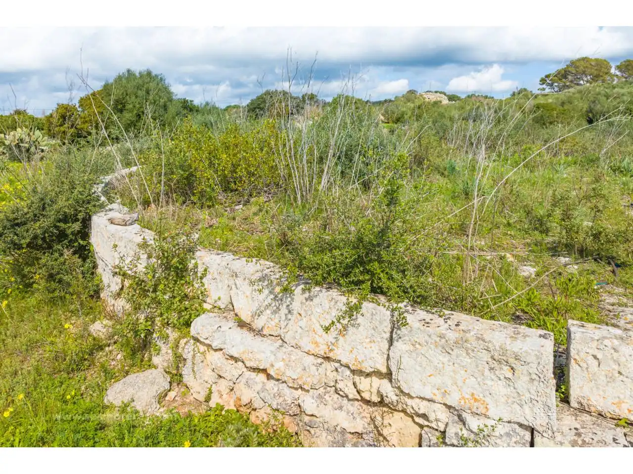 Finca rústica en venta en Ferreries con Aire acondicionado, Jardín privado y Terraza