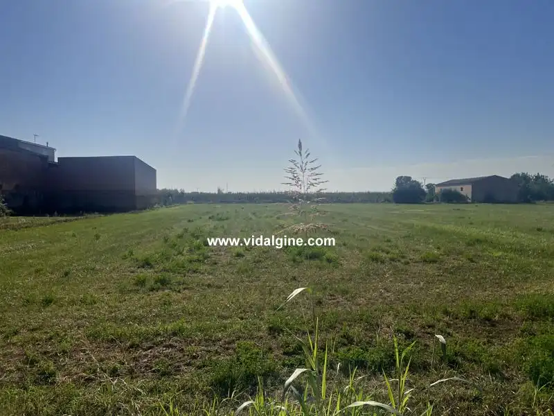 Terreno rústico en venta en Térmens, imagen 8