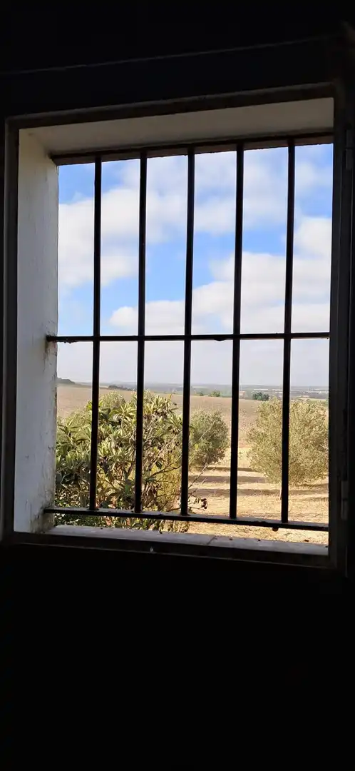 Casa rústica en venda a Arcos de la Frontera, imagen 42