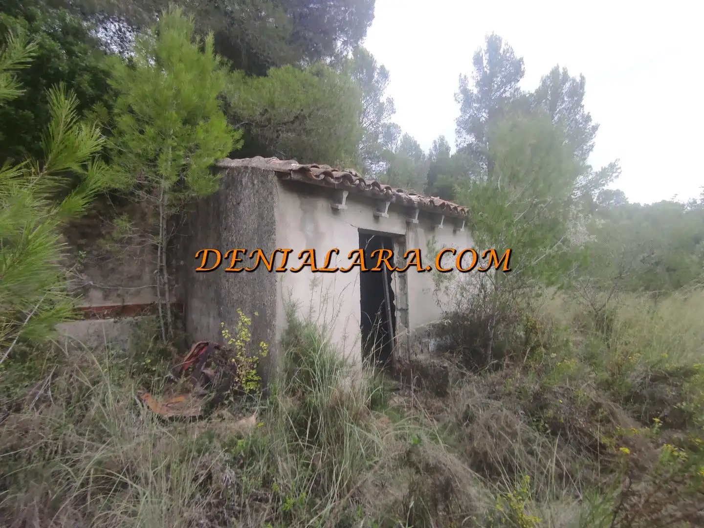 Terreno en venta en Sagra