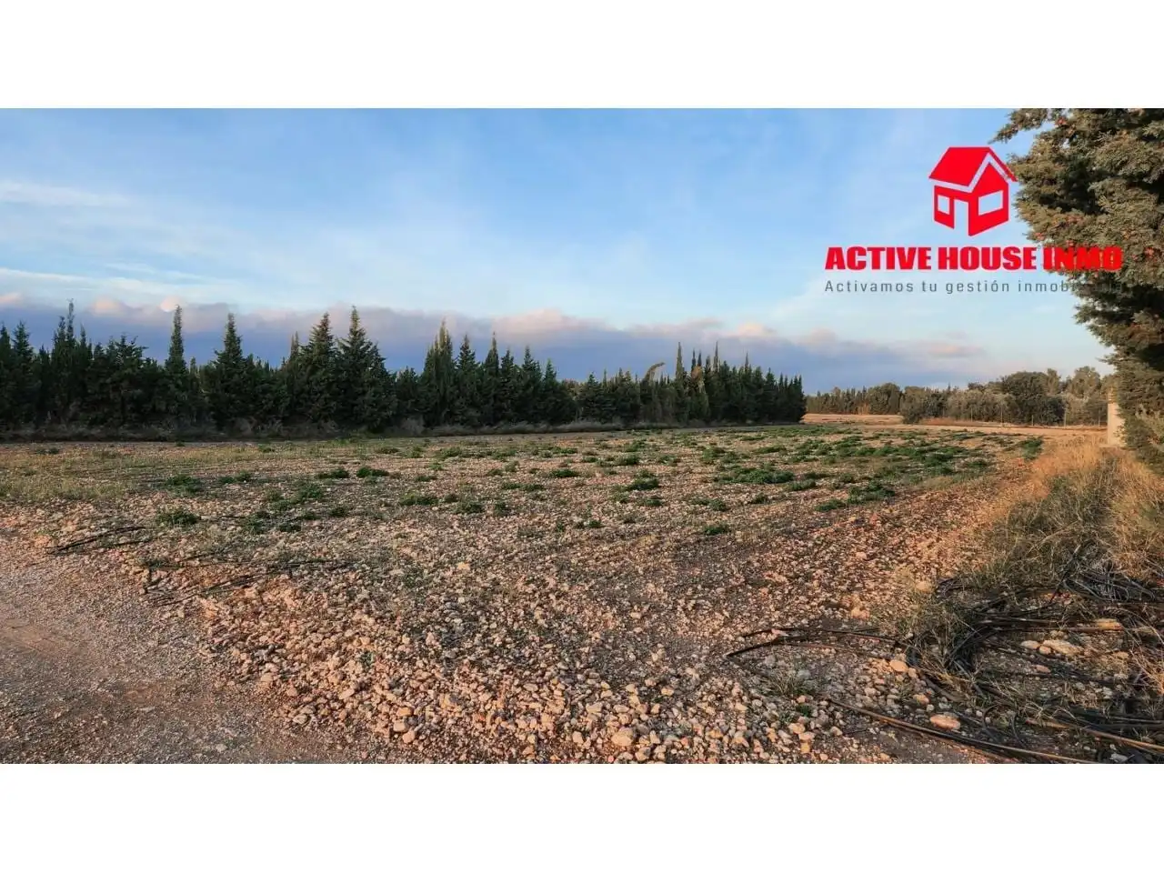 Terrain rustique à vendre à Camarles, imagen 39