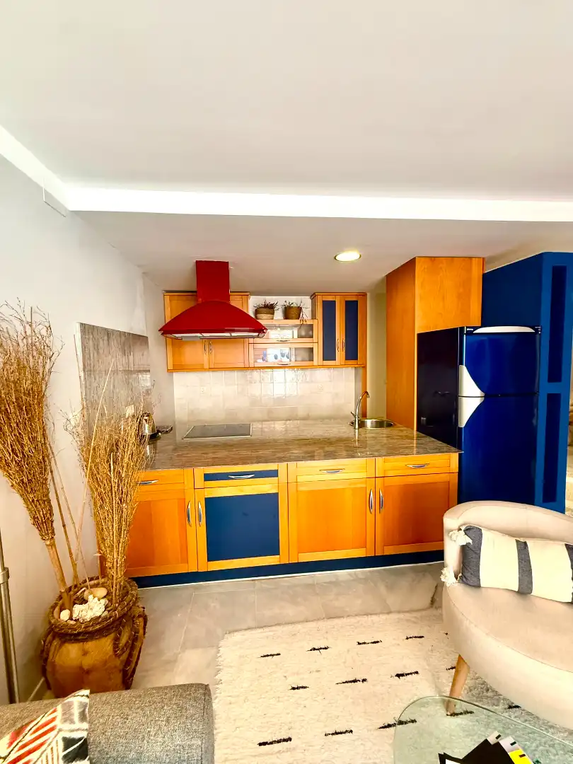 Mini appartamento con terrazza in vendita a Calle Nuestra Señora de la Luz 4, imagen 44
