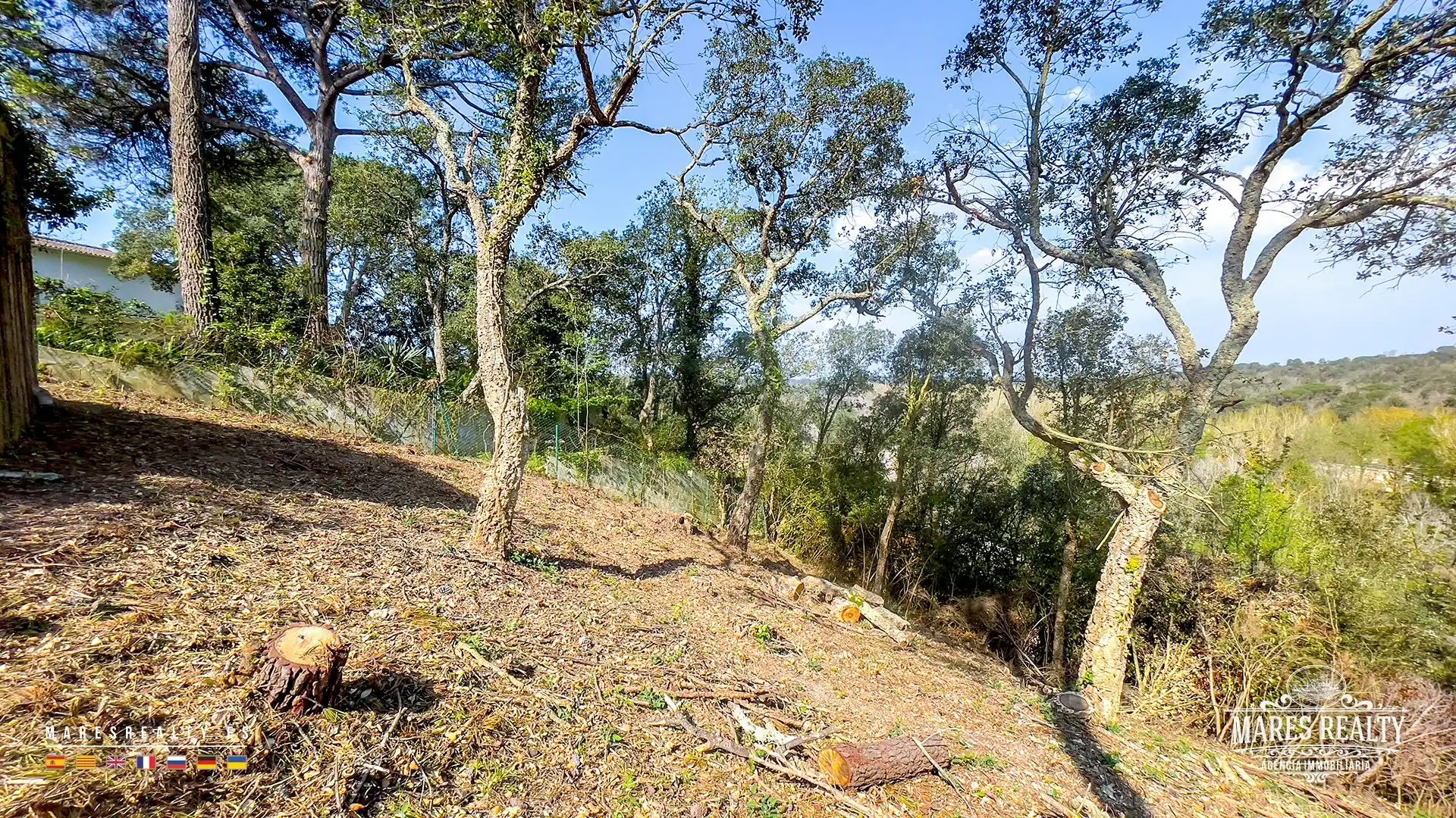 Terrenos y solares en venta en Mimoses, imagen 13