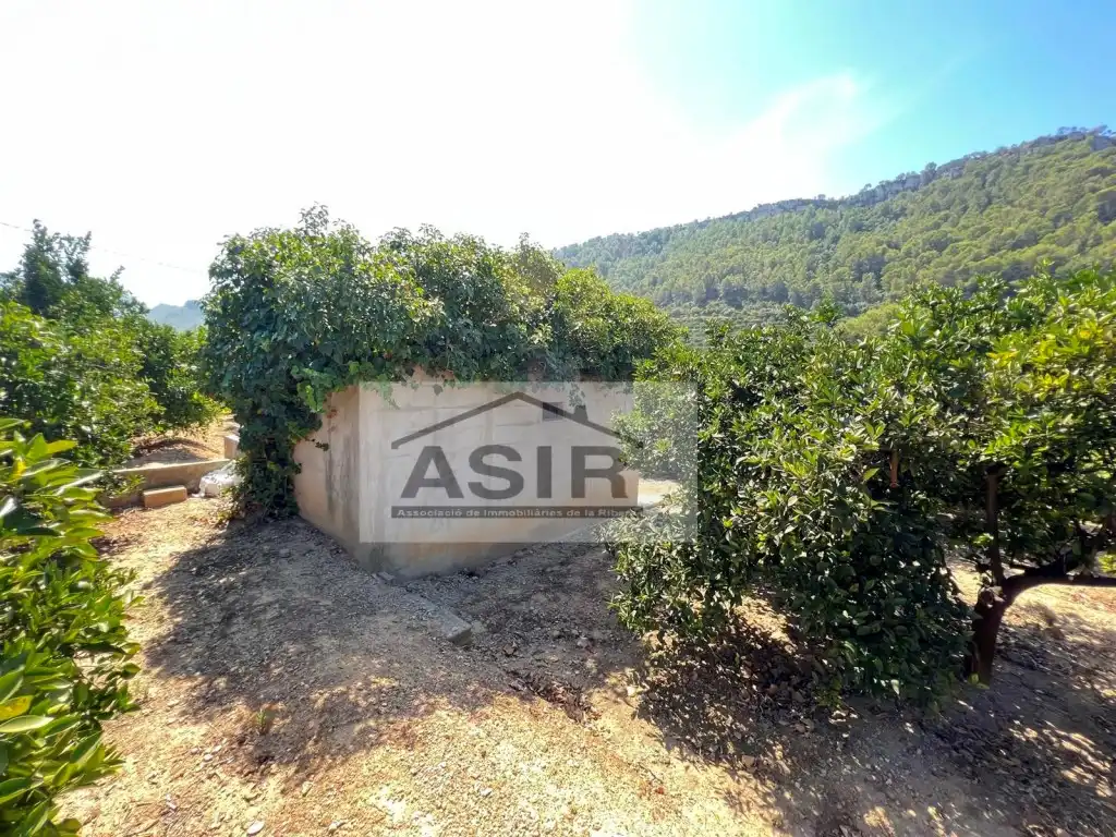 Casa o xalet en venda en Alzira