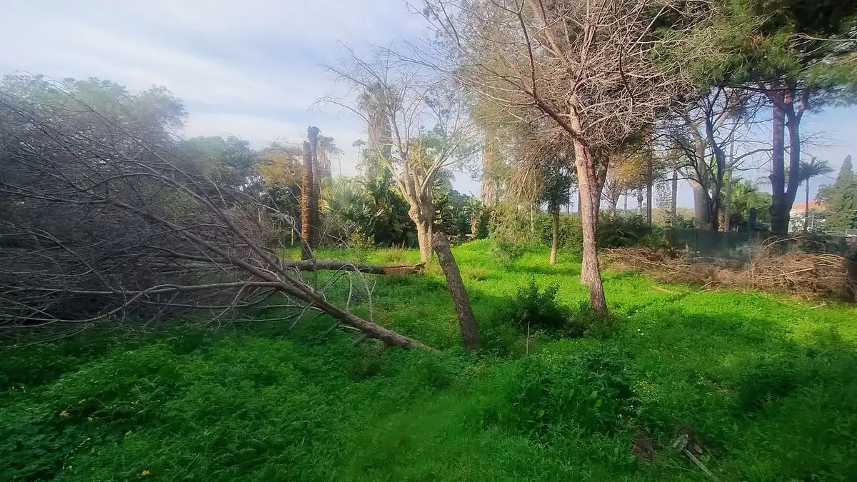 Terreni e lotti in vendita a Marbella - Marbella,Chapas,Calle Pinsapo, imagen 30