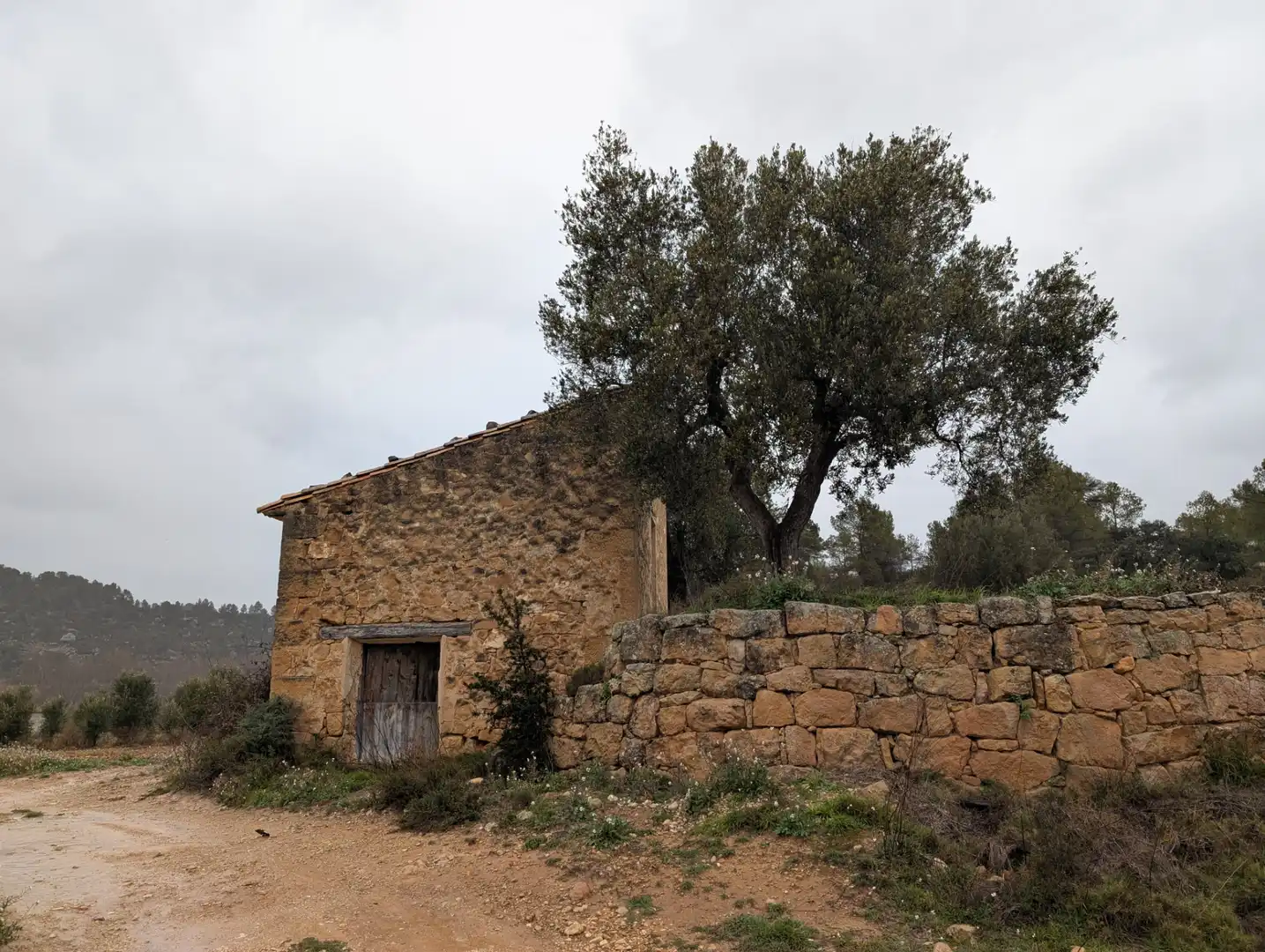 Terreni e lotti in vendita a Torre del Compte