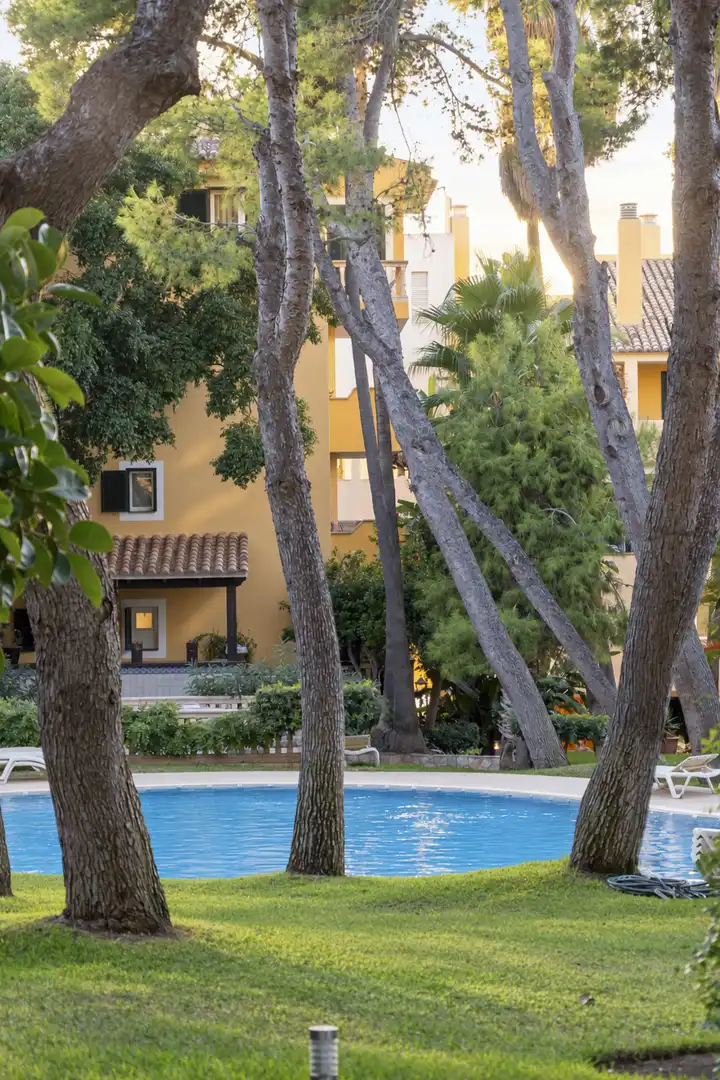 Apartamento con terraza en venta en Santa Ponça, imagen 25