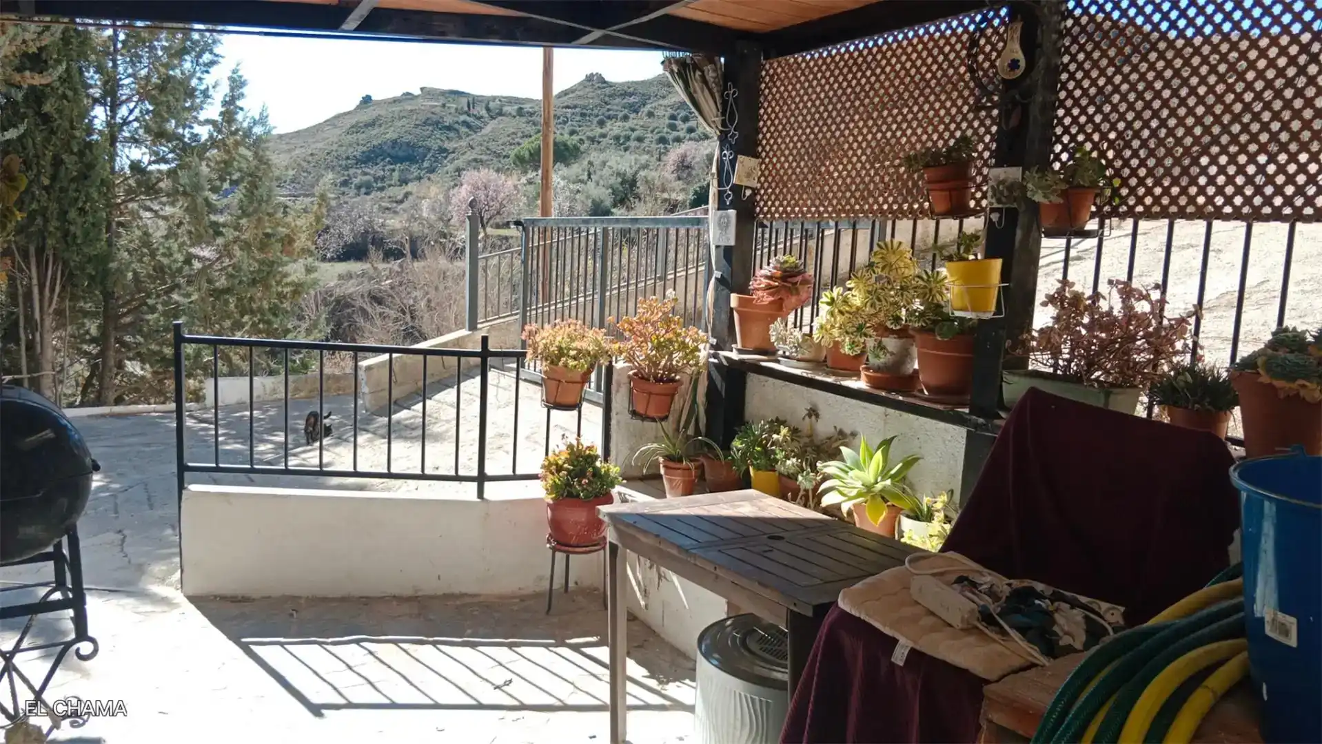 Terraza de Planta baja en venta en Válor con Trastero