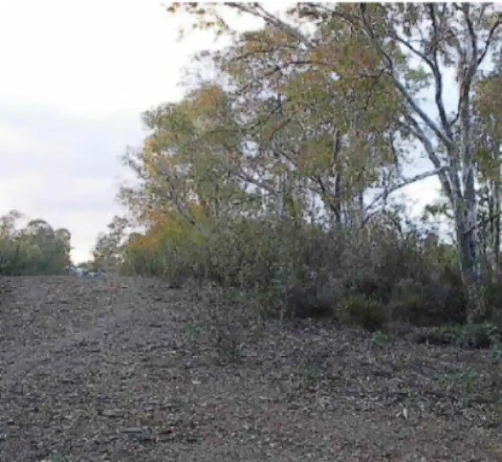 Rural land for sale in DEHESA DEL SERRANO