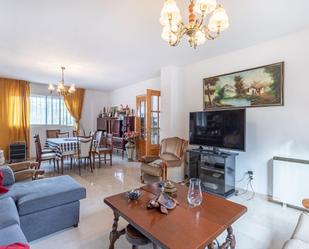 Sala d'estar de Casa o xalet en venda en Cájar amb Terrassa i Balcó
