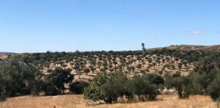 Terreni e lotti in vendita a N/A, imagen 7