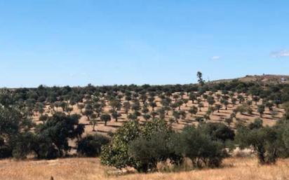 Land for sale in Coria