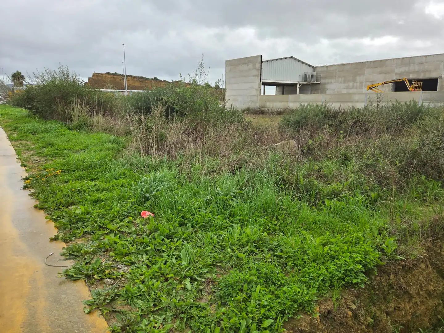 Terreno industriale in vendita a Taraguilla- Estación, imagen 2