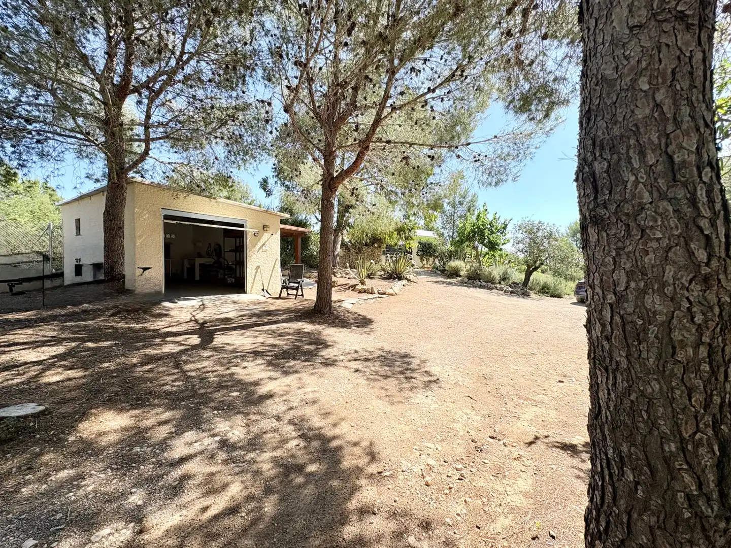 Jardí de Casa o xalet en venda en Cheste amb Aire condicionat, Calefacció i Jardí privat