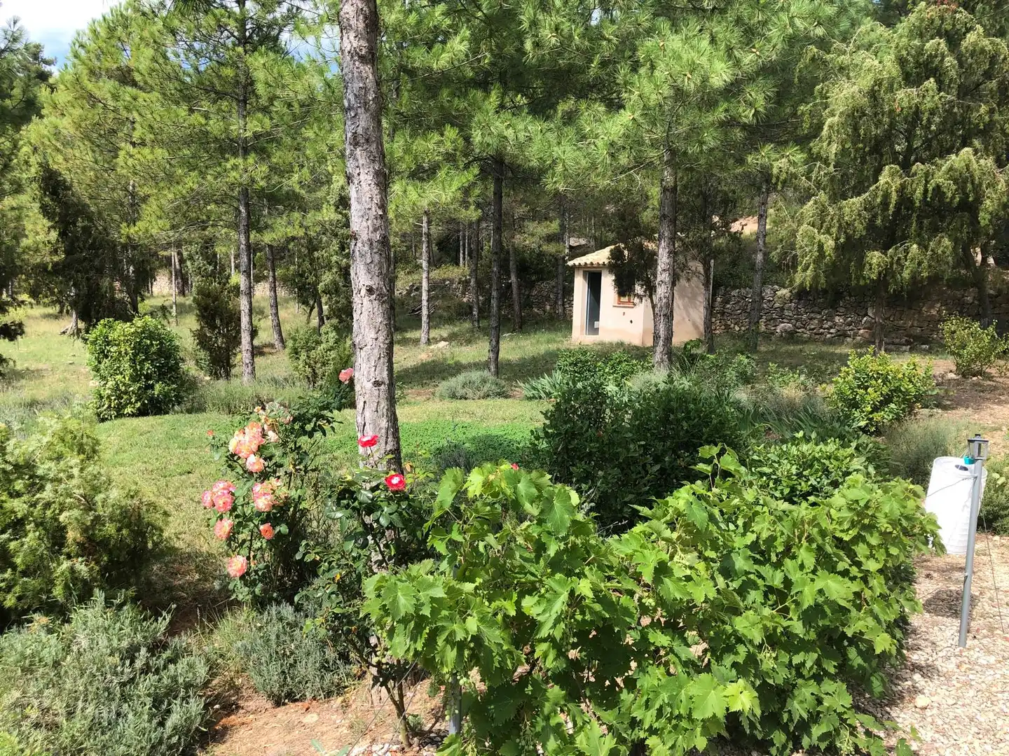 Jardín de Terreno en venta en Monroyo
