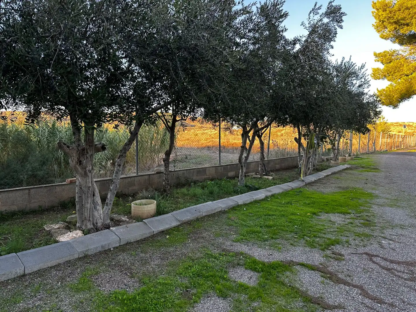 Jardín de Finca rústica en venta en Montoliu de Lleida con Calefacción, Jardín privado y Internet