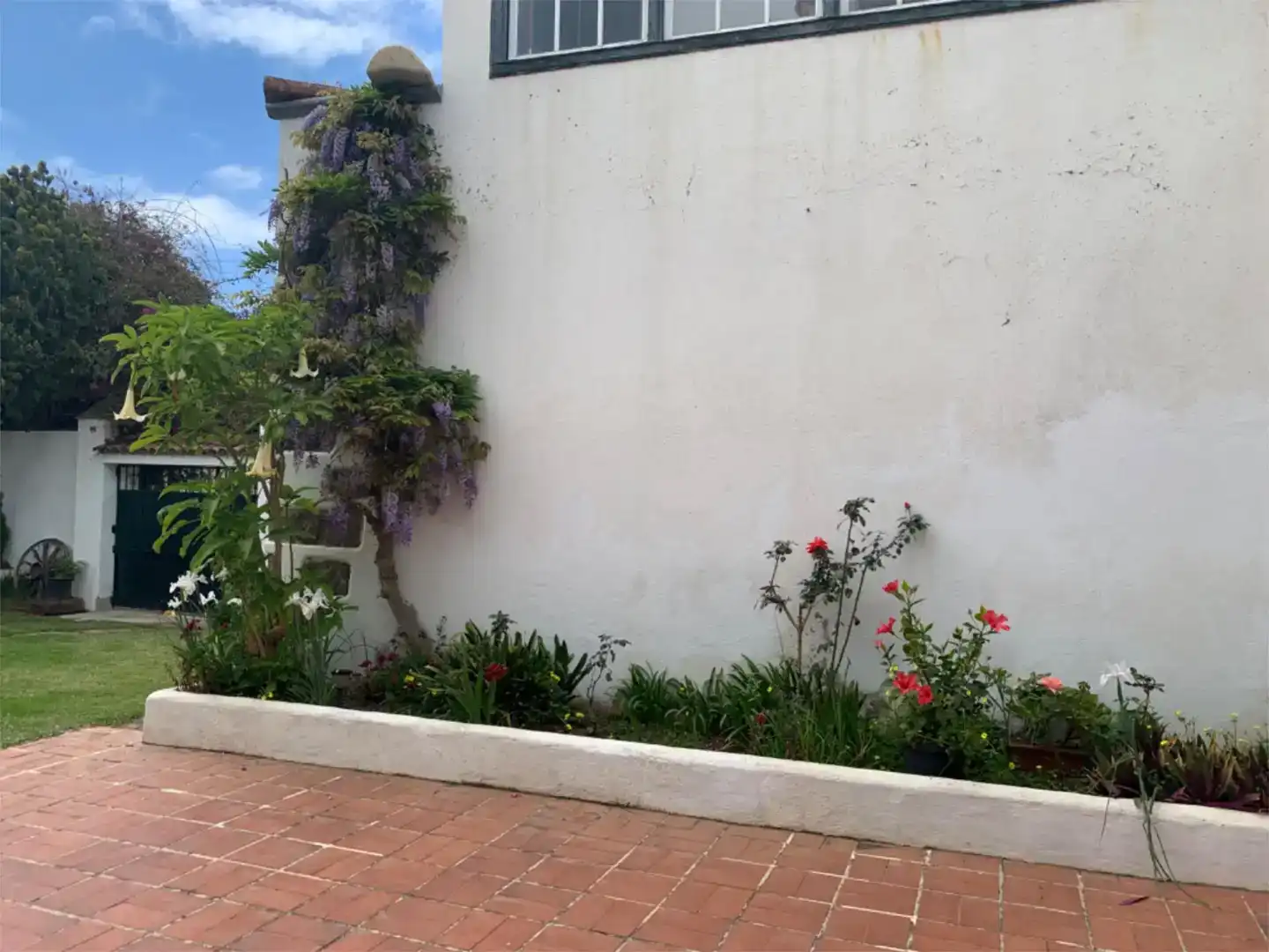 Garden of Houses for sale in Tacoronte - Los Naranjeros
