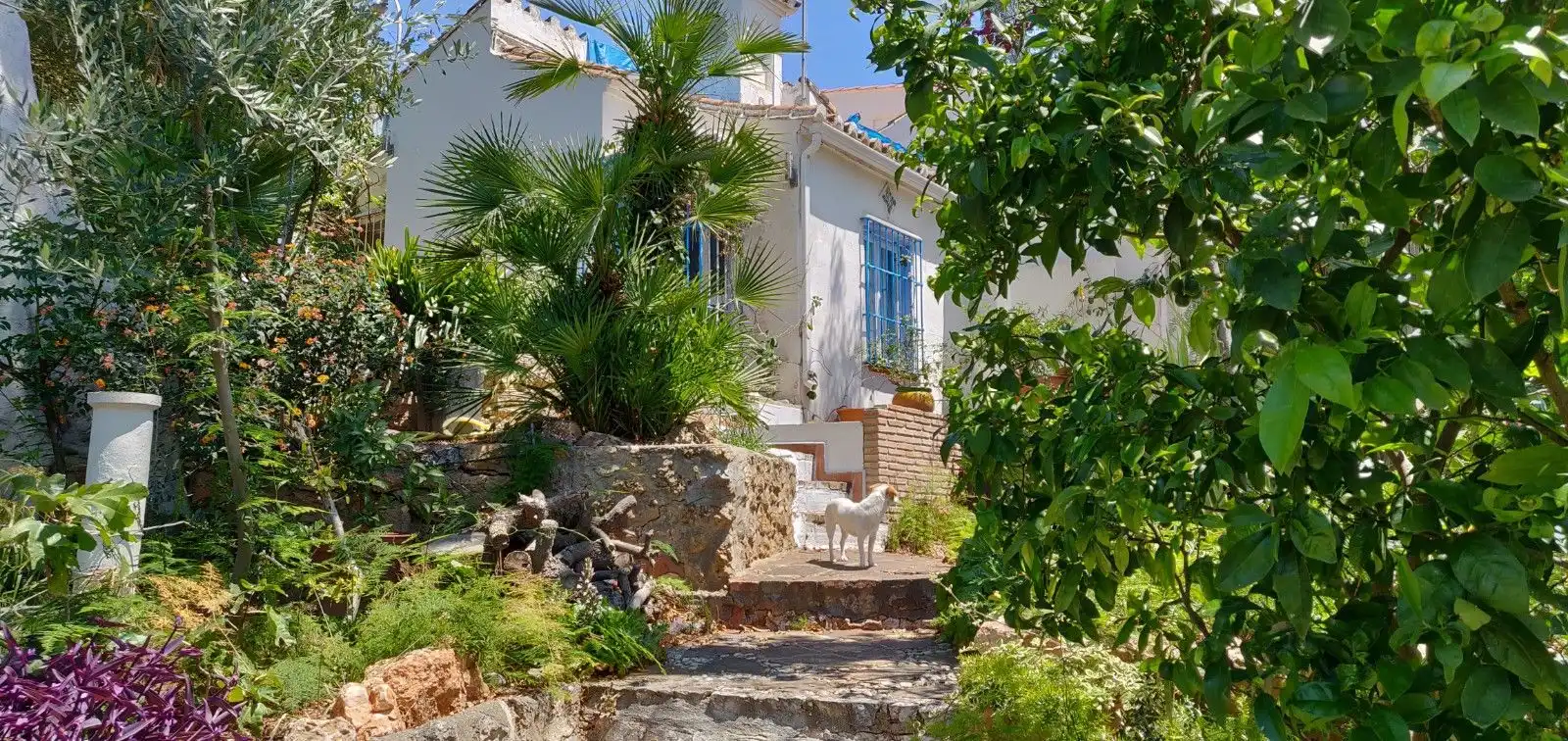 Garten von Haus oder Chalet zum Verkauf in Torremolinos mit Privatgarten und Terrasse