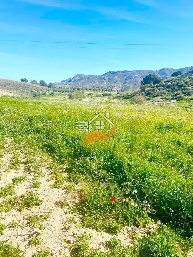 Lands and plots for sale in Pedanías Norte, imagen 26