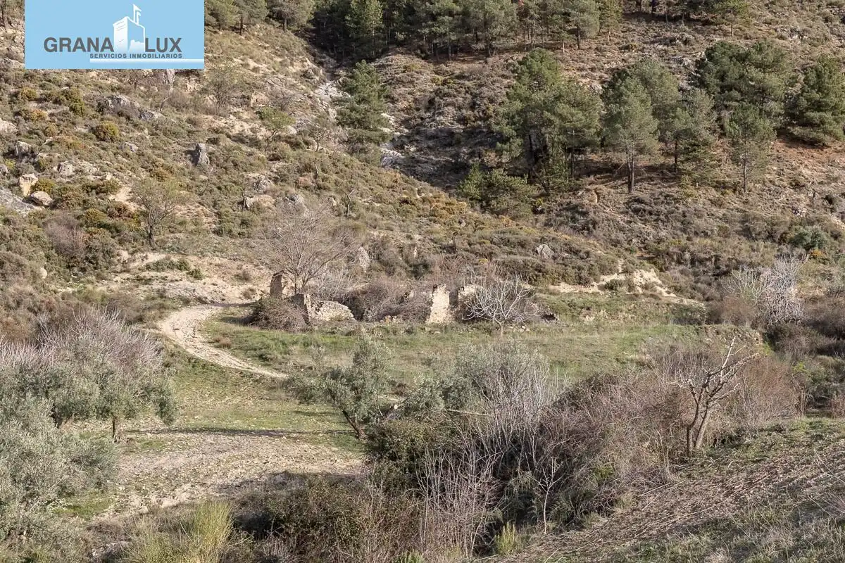 Rustikales Grundstück zum Verkauf in Monachil pueblo, imagen 6