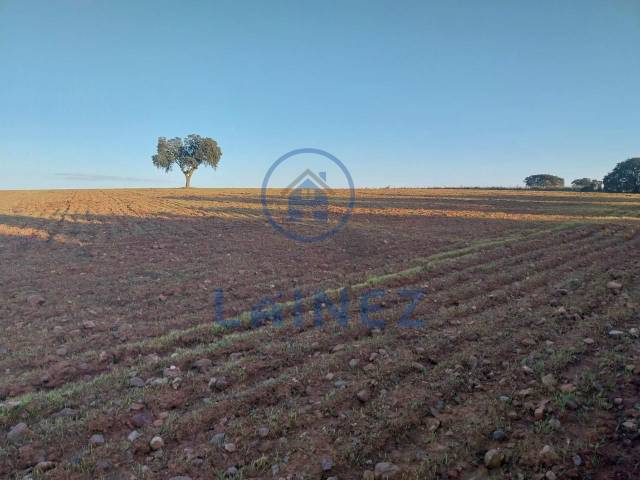 Terreno en Venta en Fuente Obejuna