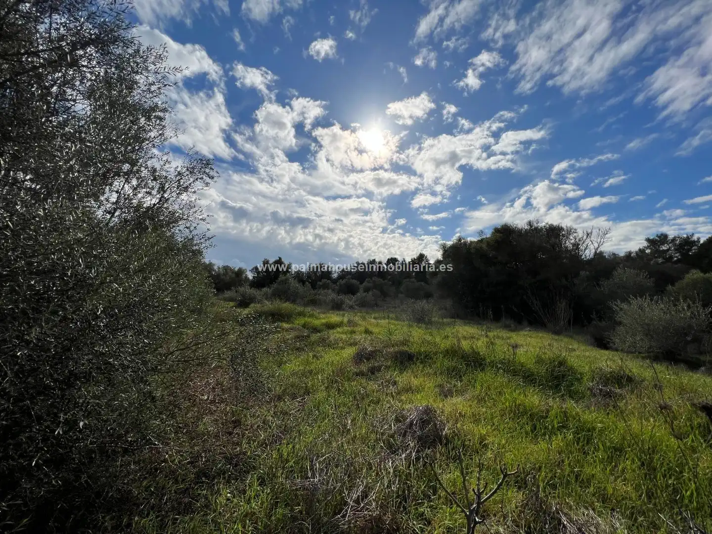 Residencial en venta en Algaida