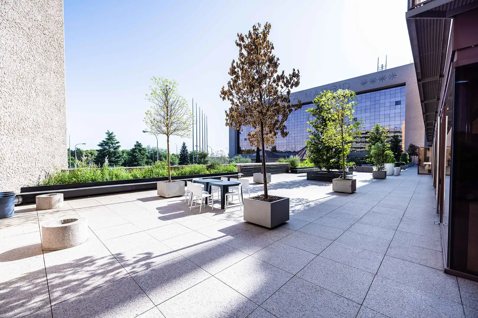 Terrace of Office for rent in Madrid