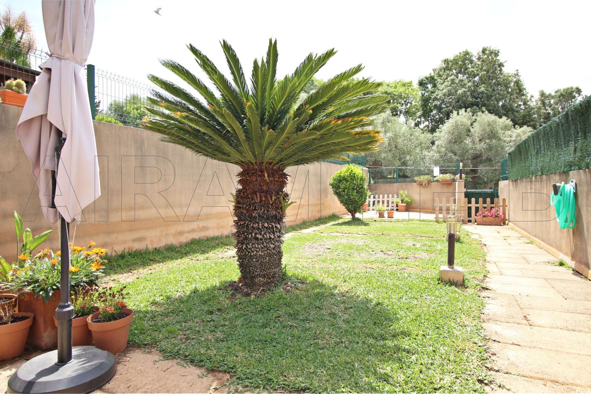 Garden of Single-family semi-detached for sale in Campanet  with Air Conditioner, Private garden and Swimming Pool