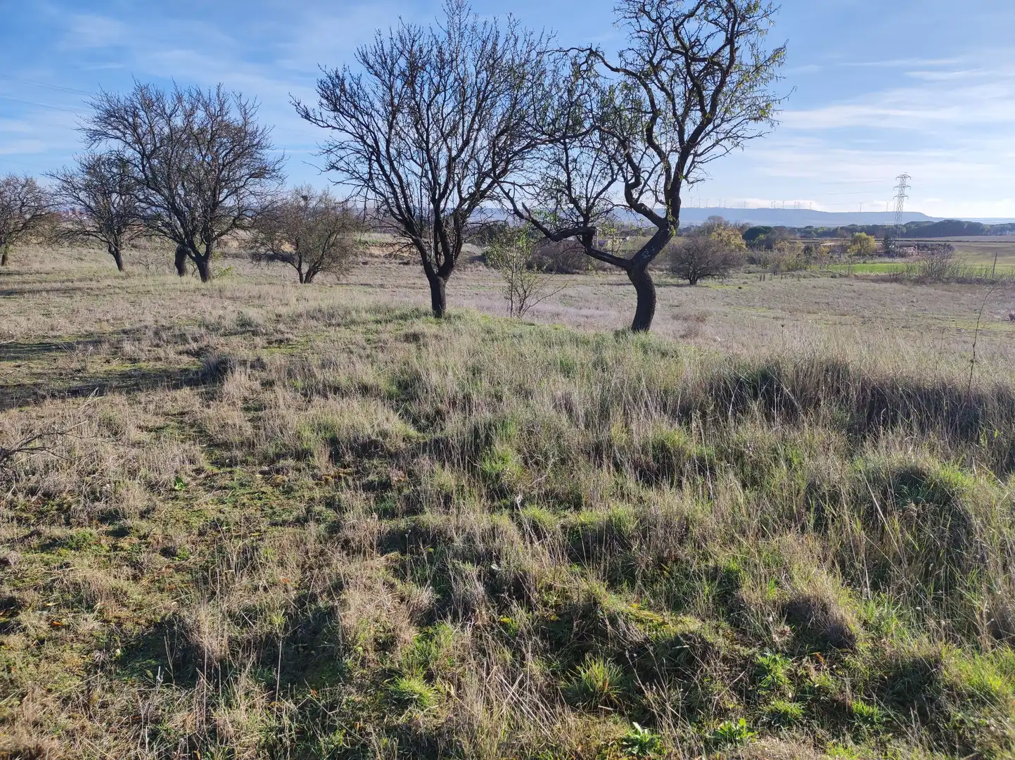 Finca rústica en venda a Carretera Autilla, 37, Allende el Río