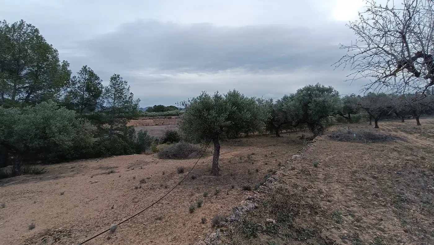 Terrain rustique à vendre à Rasquera, imagen 5