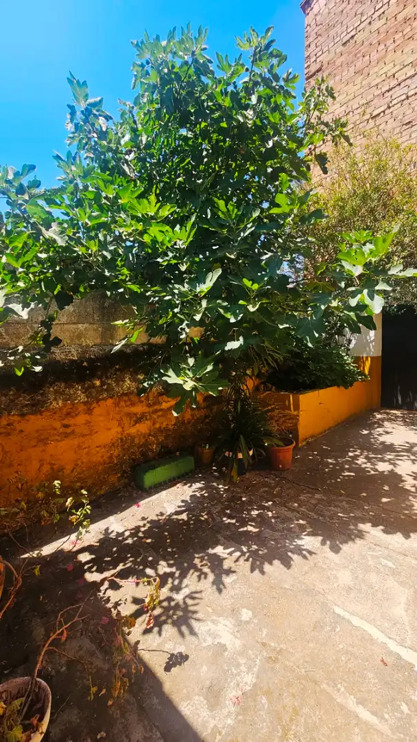 Vista exterior de Casa o xalet en venda en Aroche amb Jardí privat i Traster