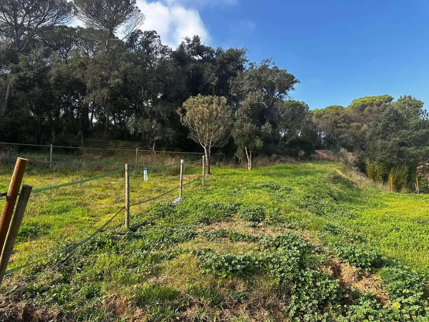 Finca rústica en venta en Maçanet de la Selva con Calefacción, Jardín privado y Terraza