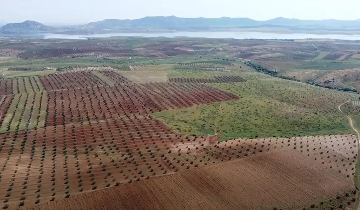 Terreni e lotti in vendita a Alange, imagen 7