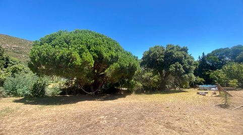Foto 2 de Casa o chalet en venta en El Cuartón - El Bujeo, Tarifa