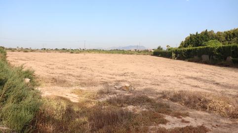 Photo 5 of Land for sale in Perleta - Maitino, Alicante
