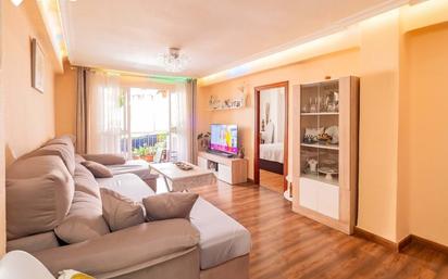 Living room of Flat for sale in Málaga Capital  with Terrace and Balcony