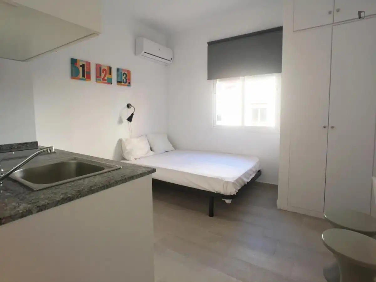 Estudio de alquiler en Pradolongo