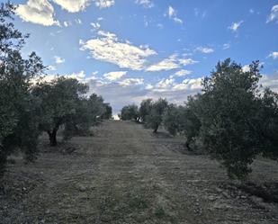 Land for sale in La Roda de Andalucía