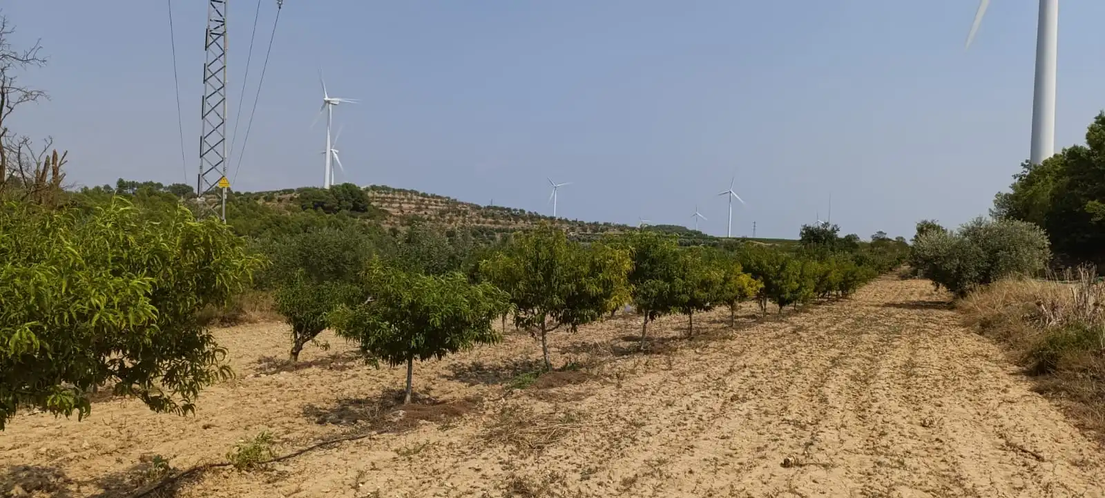 Residencial en venda en Vilalba dels Arcs
