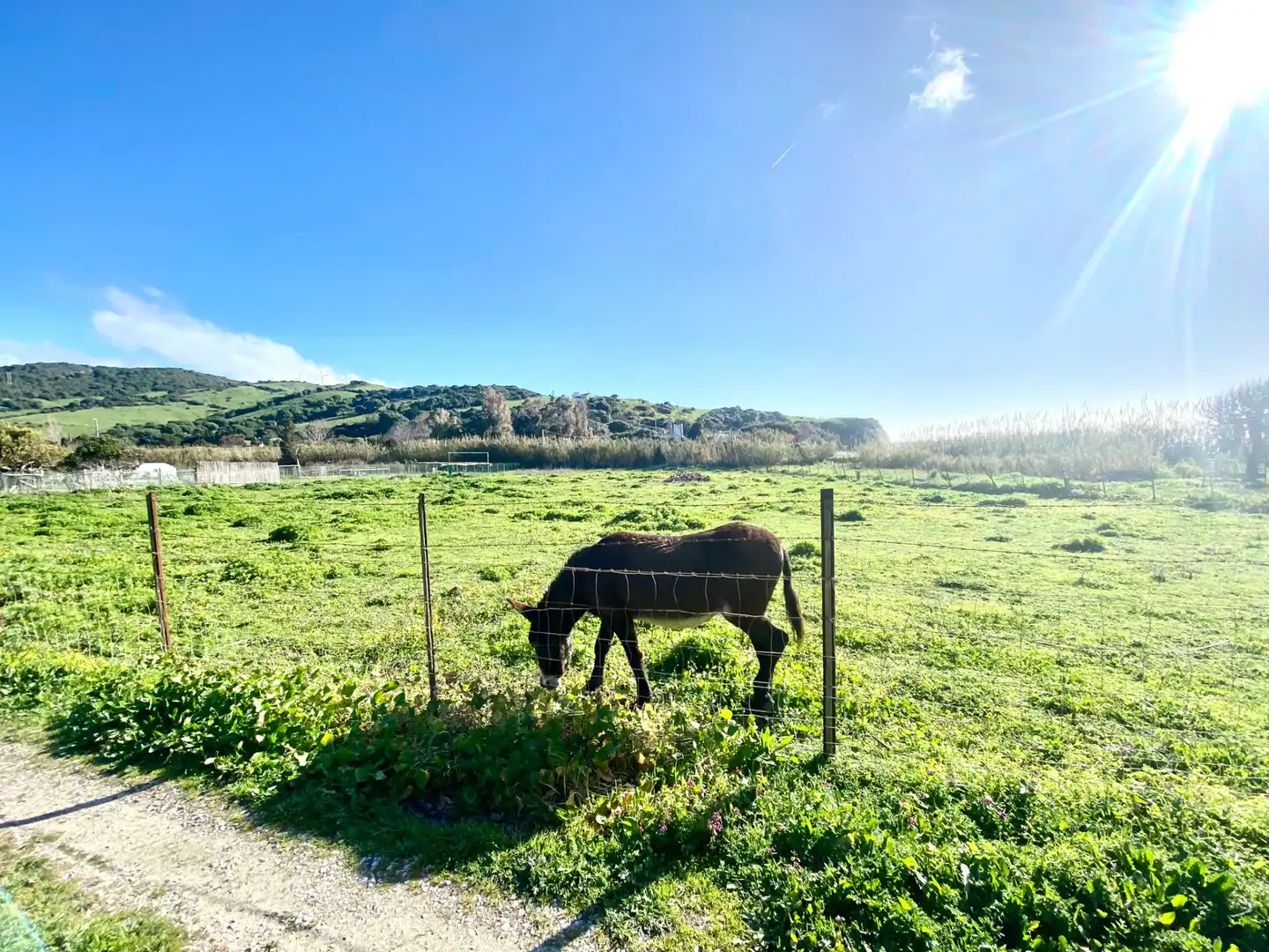 Country house for sale in Puerto El Bujeo, imagen 4