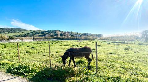 Photo 4 of Country house for sale in Calle Tarifa, Puntales - Zona Franca, Cádiz