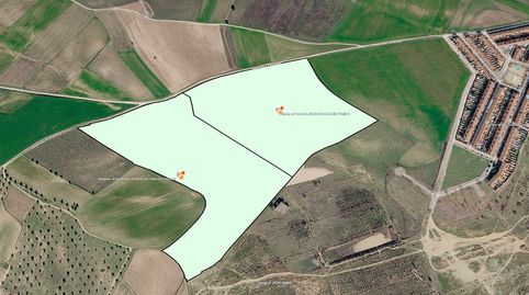 Finca Rustica de 15 has con Sondeo de Agua, imatge 3