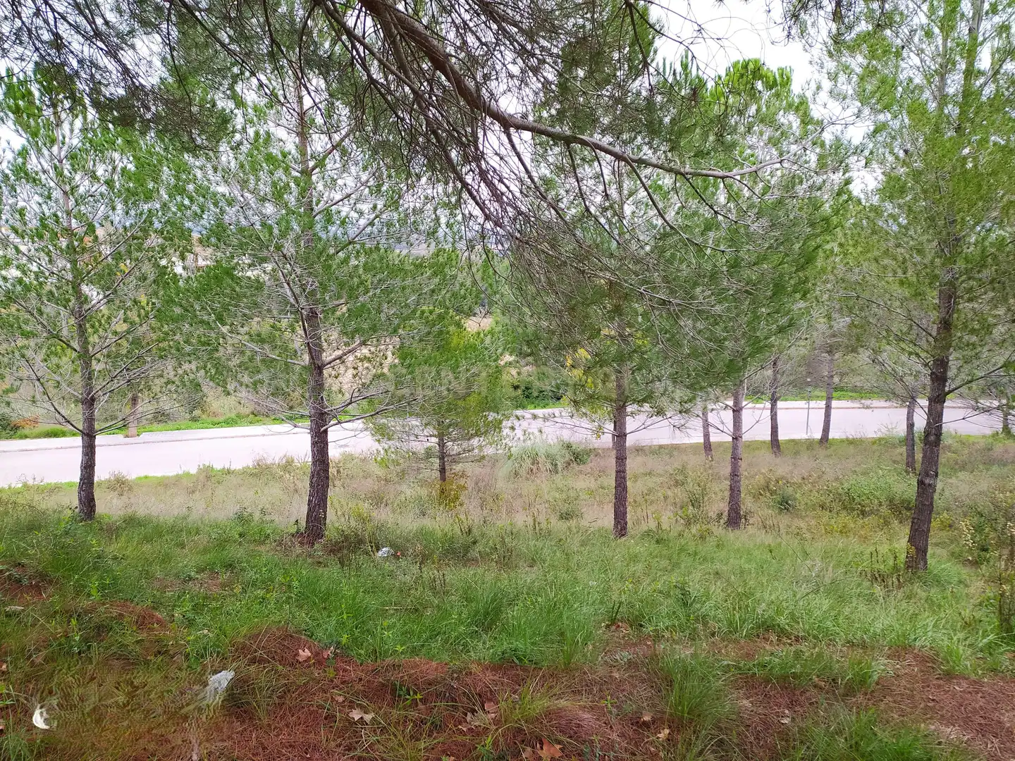 Residential land for sale in Ronda de la Pagesia, Sant Llorenç d'Hortons, Spain 67A, imagen 3