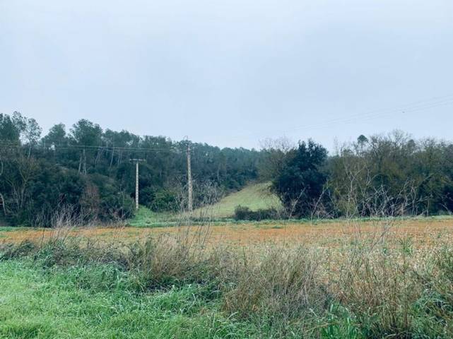 Terreno en Venta en Camino de Pins en Vilopriu