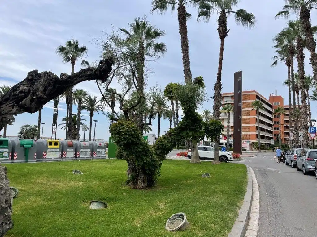 Apartment mit Terrasse zum Verkauf in Platja de Ponent, imagen 14