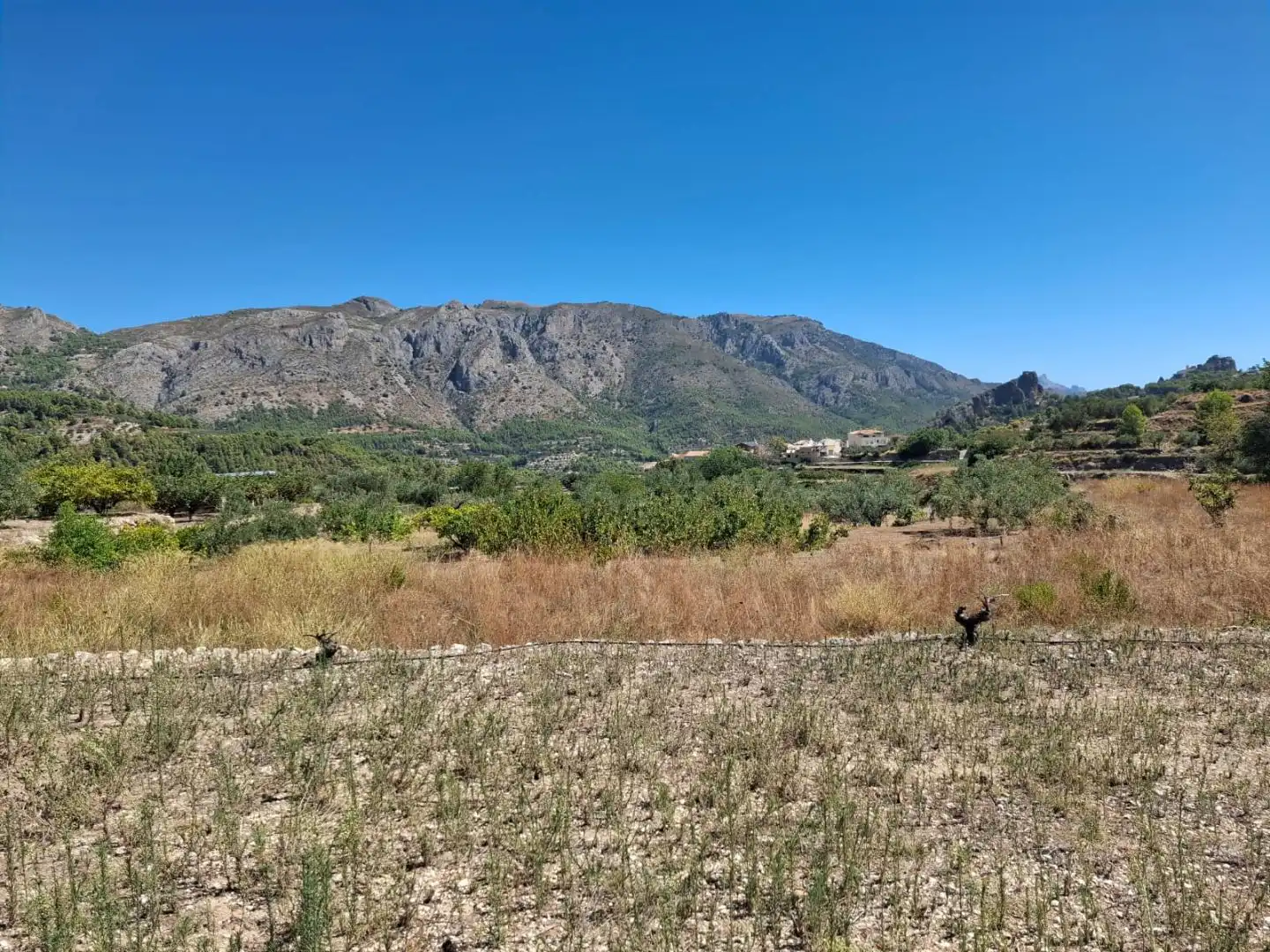 Grundstücke zum Verkauf in Beniardà